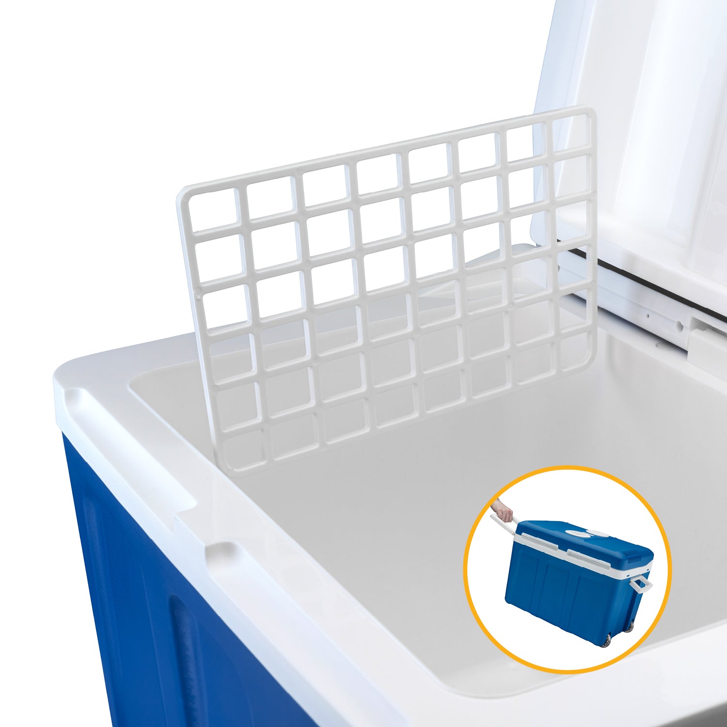 Elektrische Kühlbox 45L, mit Trolleyfunktion, Kühl- & Warmhaltefunktion