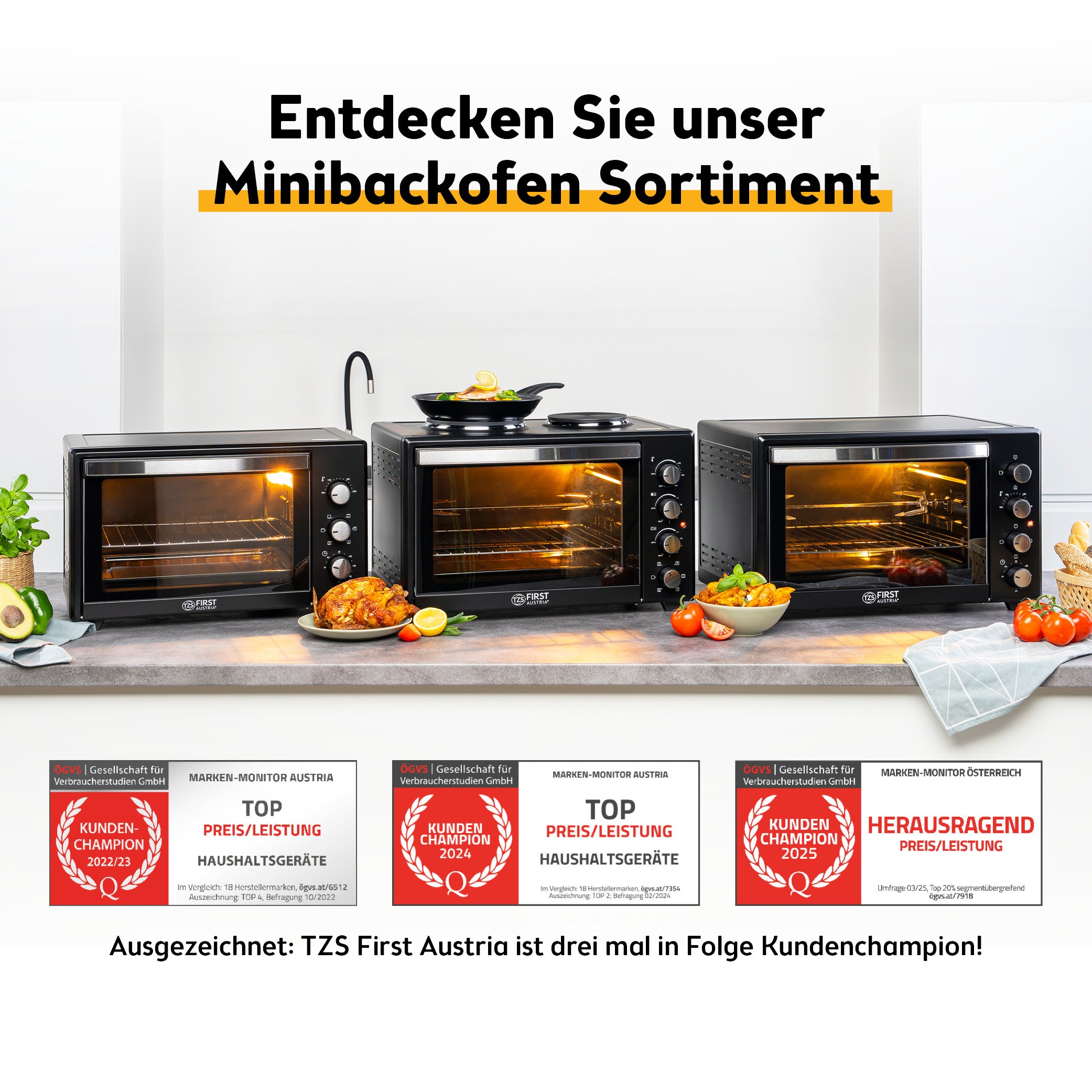 Mini Oven 45L, with Convection, Rotisserie