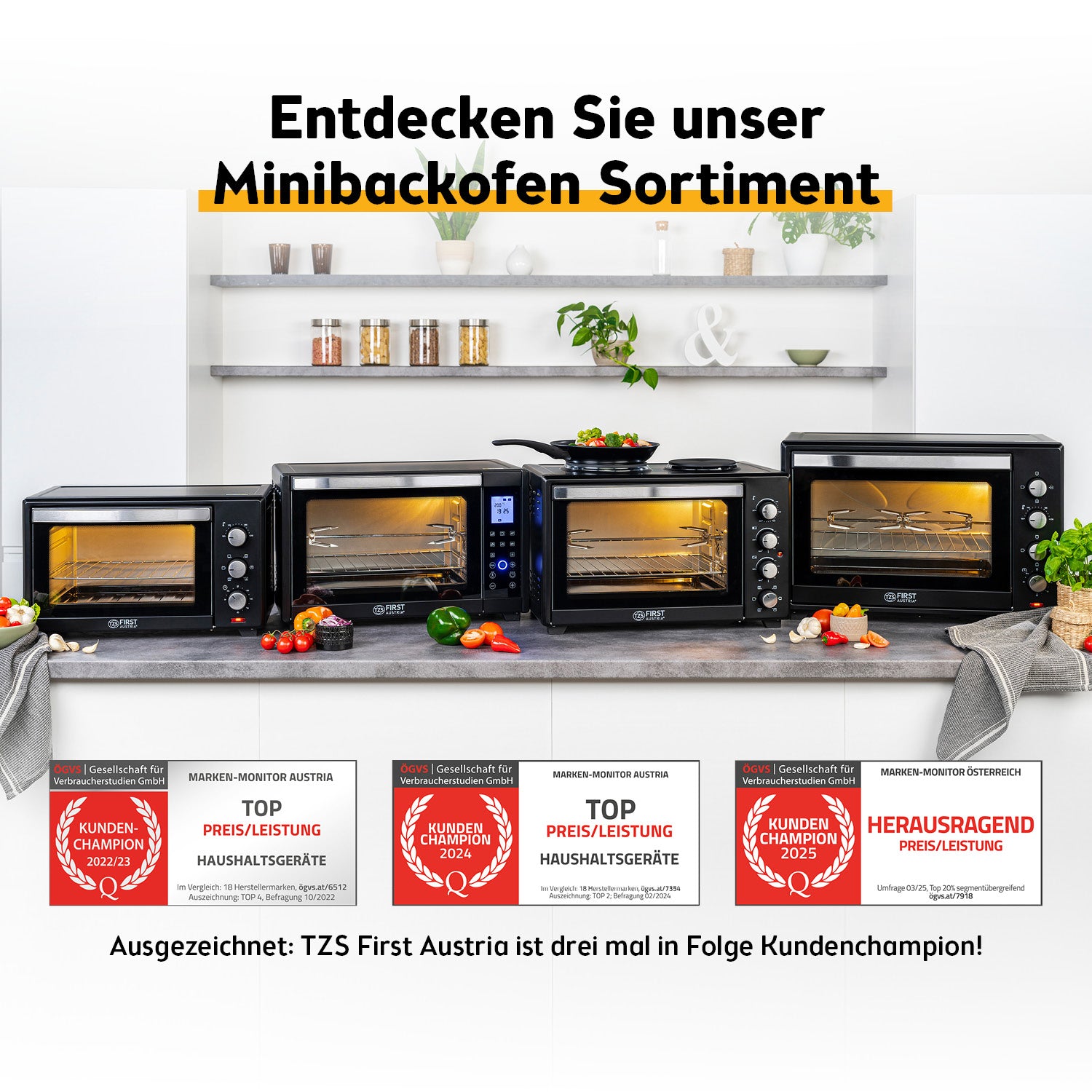 Mini-Backofen 30L, multifunktional, geräumig