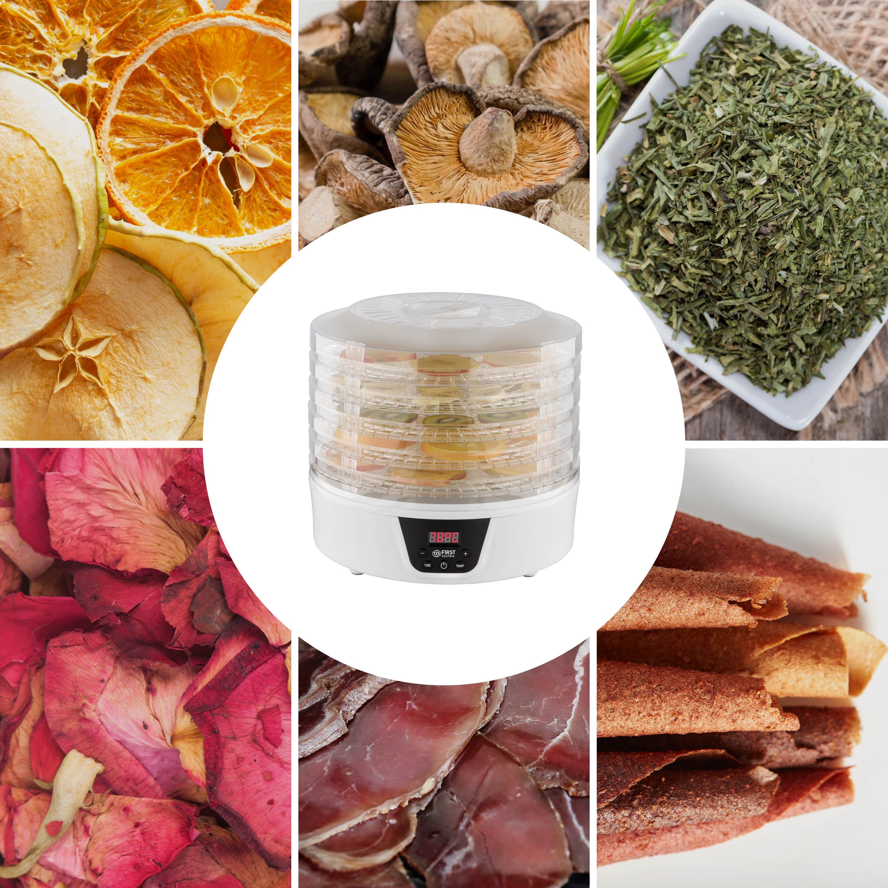 Dörrautomat digital, 5 Ebenen, Timer, BPA-frei, energiesparend, Druckknopf, Display