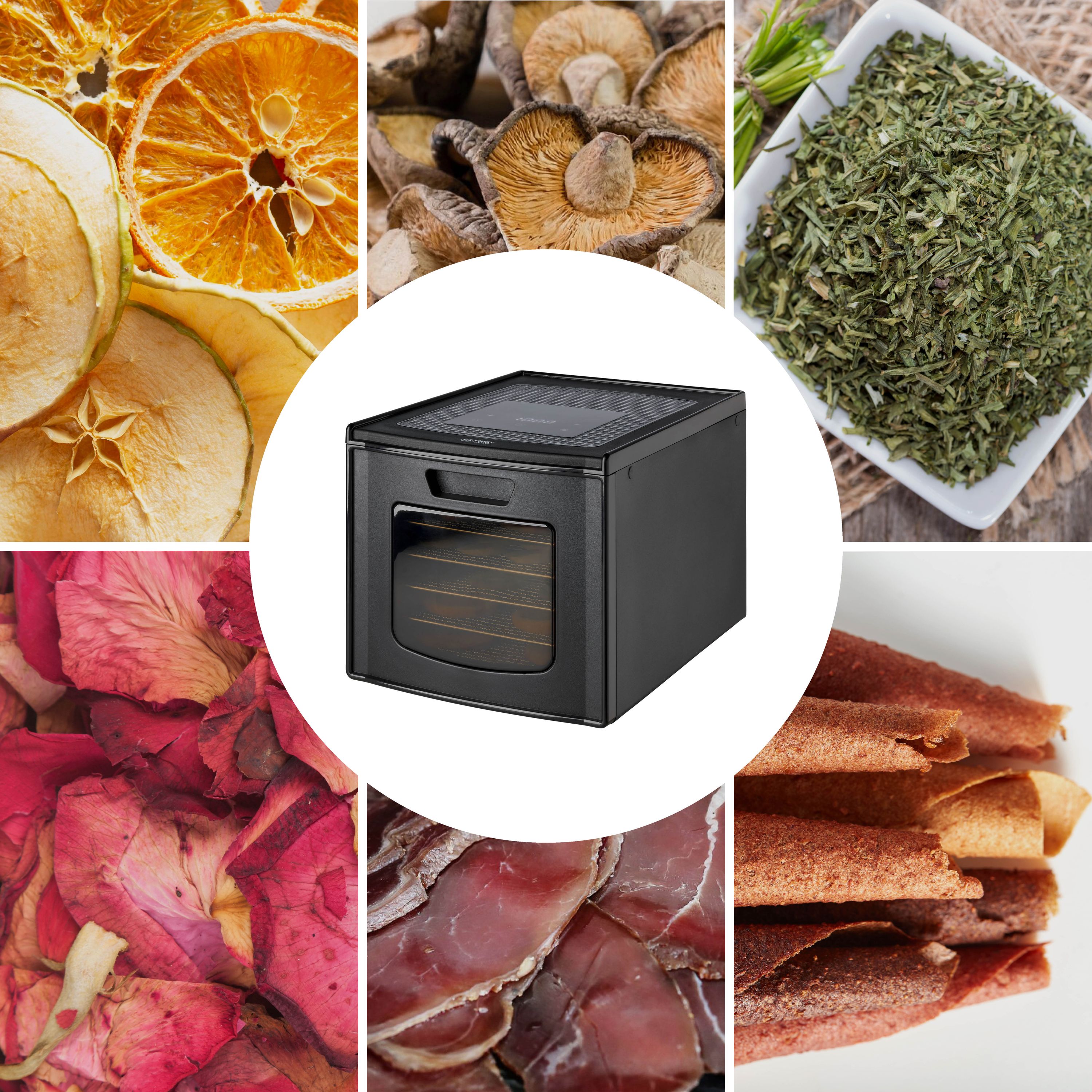 6 Etagen | Edelstahl