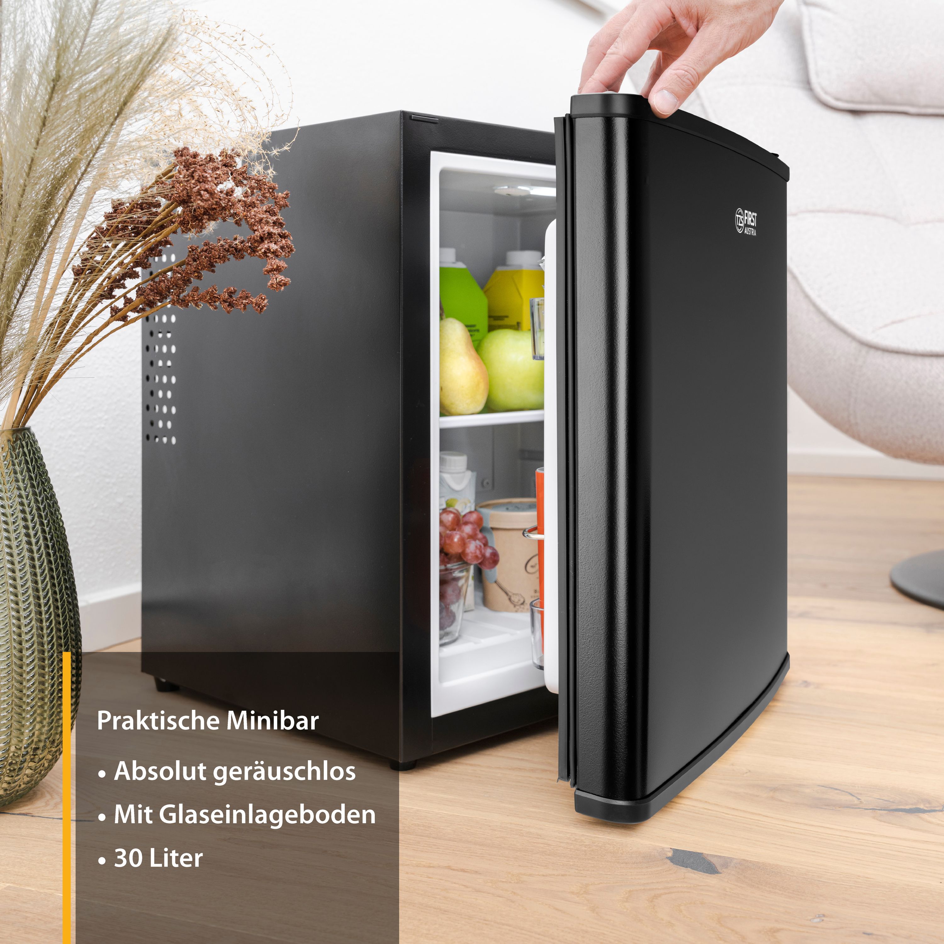 Minikühlschrank 30L | matt